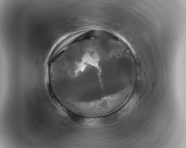 X0000087631171200705101022