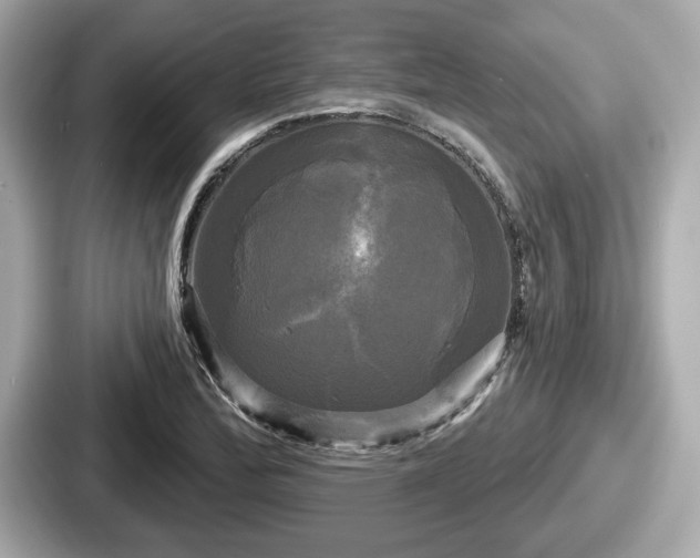 X0000087631172200705101022