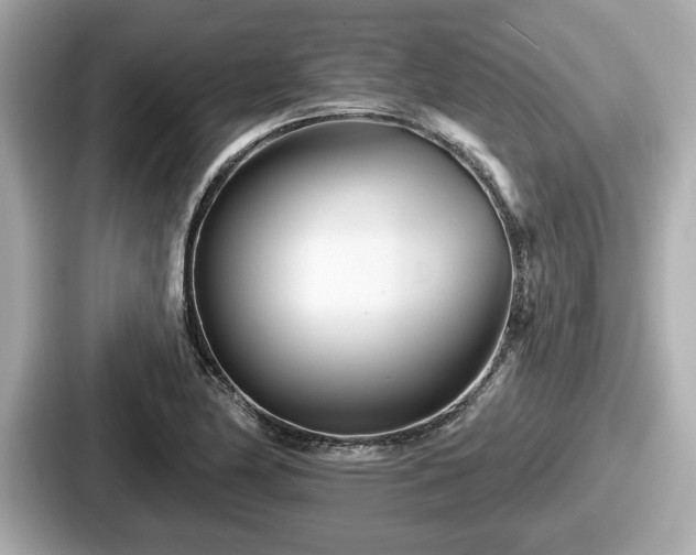 X0000087631174200705101022