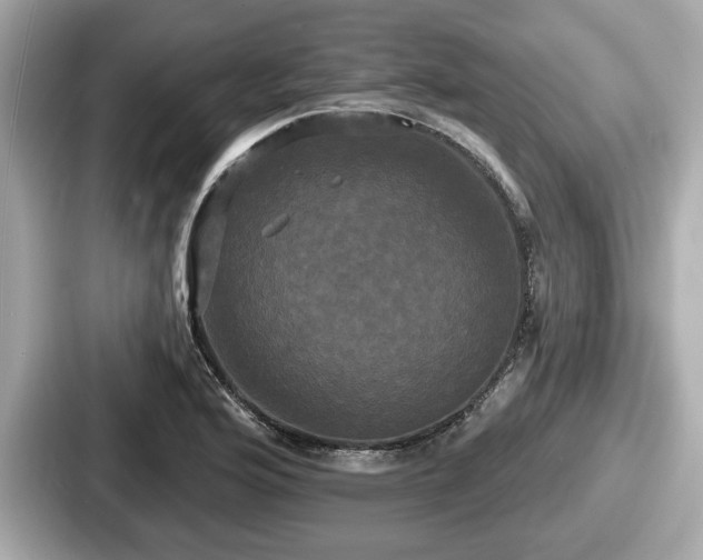 X0000087631176200705101022