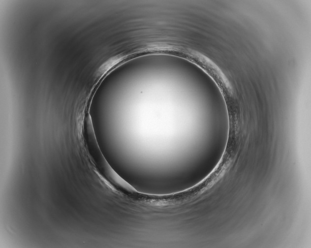 X0000087631177200705101022