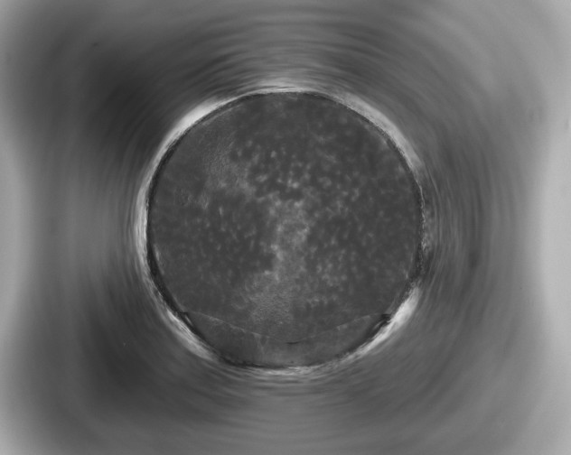 X0000087631179200705101021