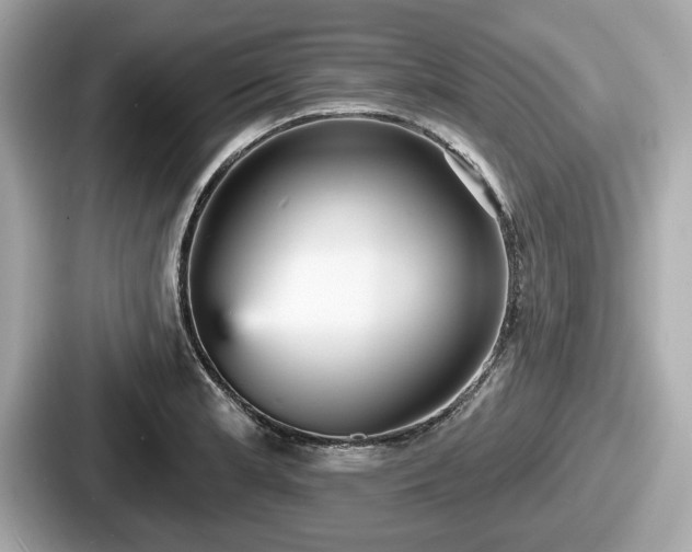 X0000087631181200705101021