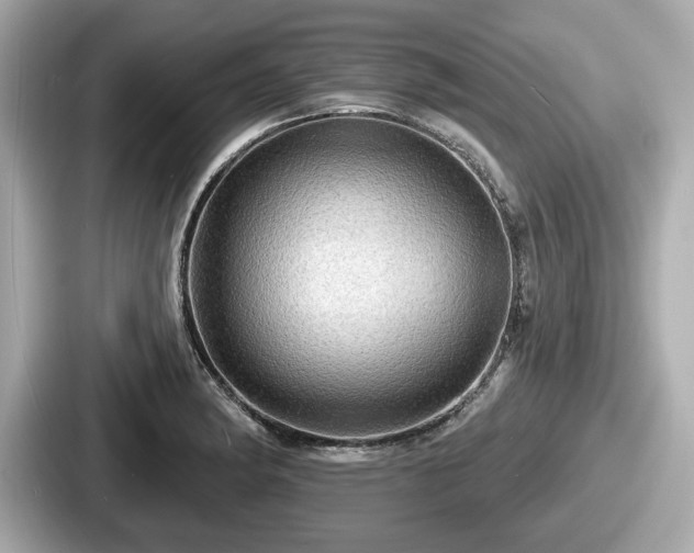 X0000087631182200705101021