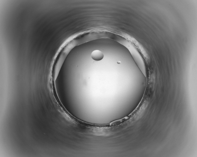 X0000087631184200705101021