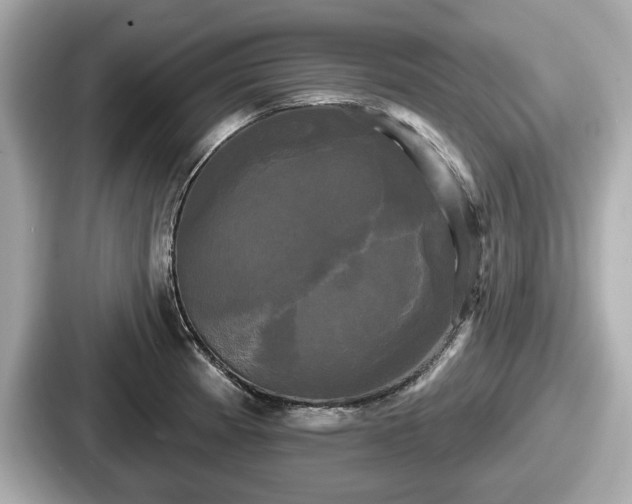 X0000087631185200705101021