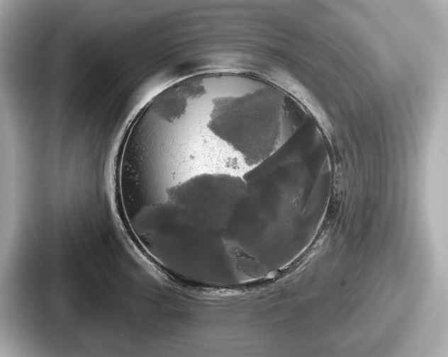 X0000087631187200705101021