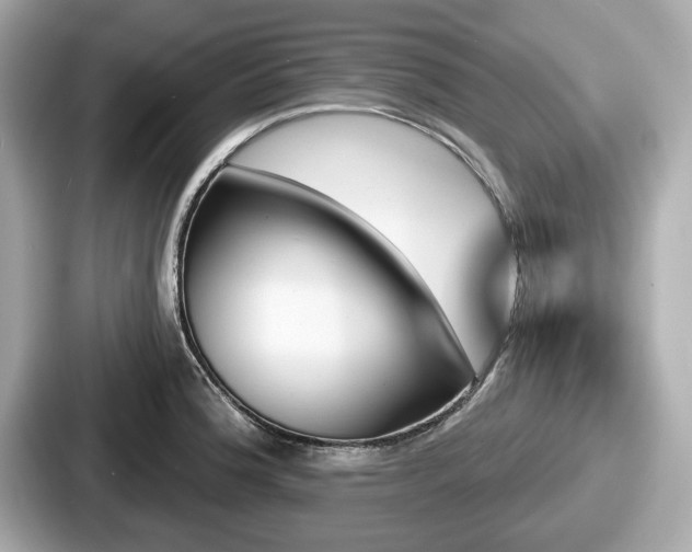 X0000087631188200705101021