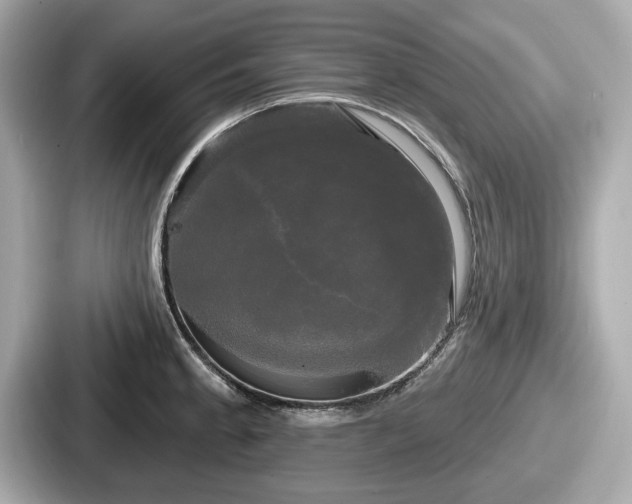 X0000087631189200705101021