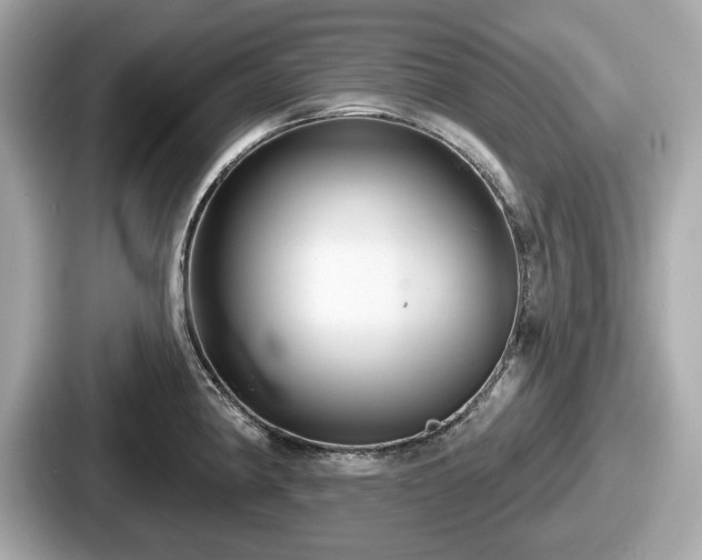 X0000087631190200705101021