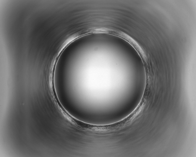 X0000087631194200705101021