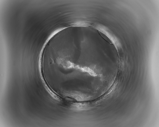 X0000087631195200705101021