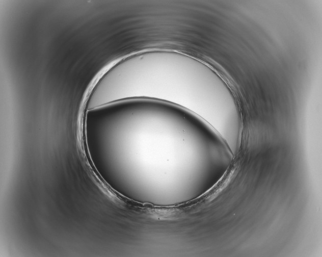 X0000087631196200705101021