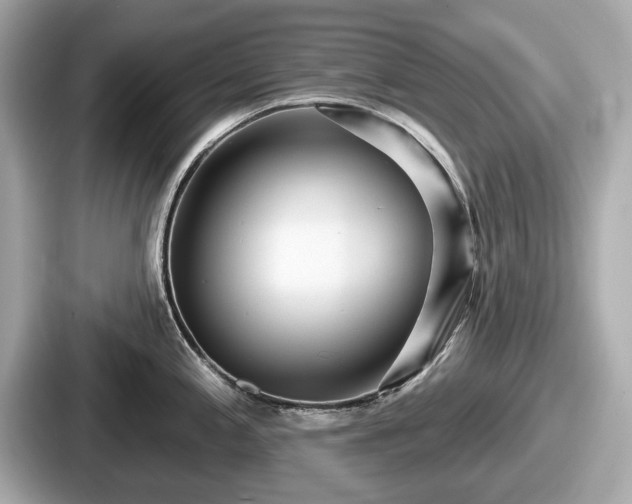 X0000087631197200705101021