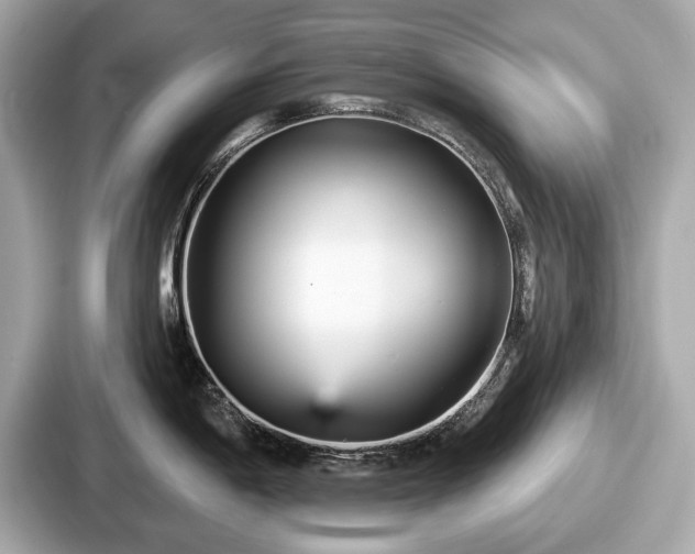 X0000087631198200705101021