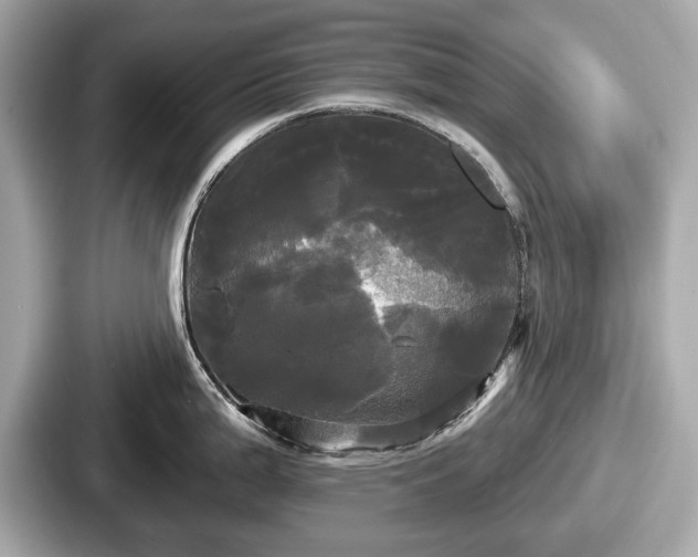 X0000087631199200705101021