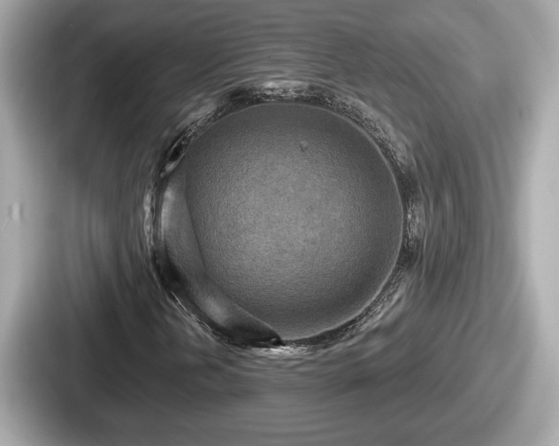 X0000087631202200705101021