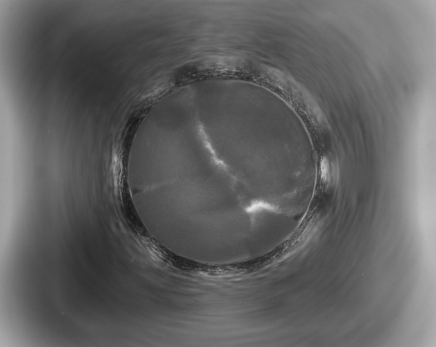 X0000087631203200705101021