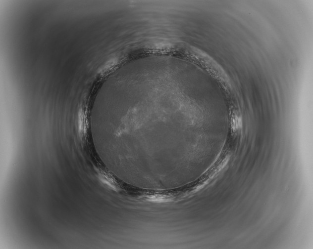 X0000087631204200705101021