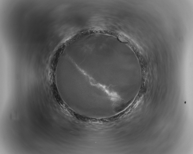 X0000087631207200705101021