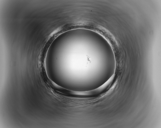 X0000087631210200705101021