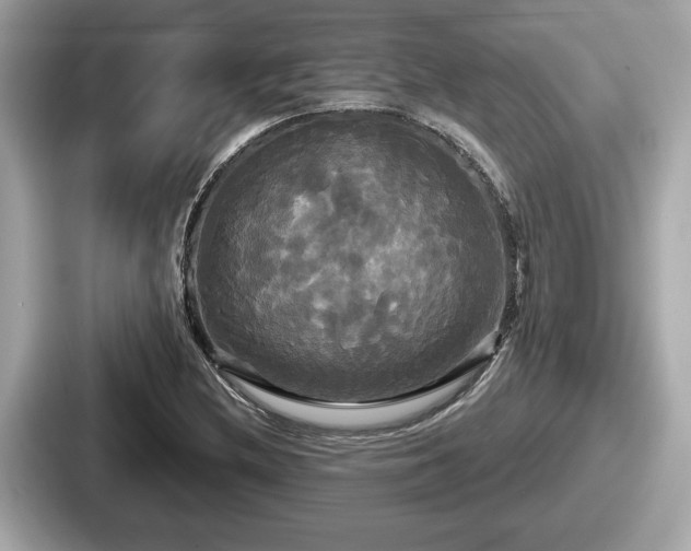 X0000087631212200705101021