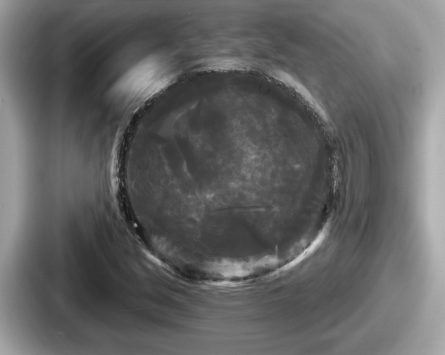 X0000087631213200705101021