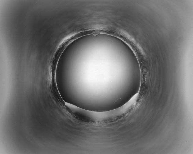 X0000087631214200705101021