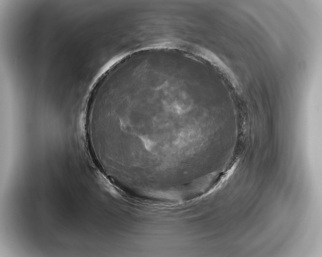 X0000087631216200705101021