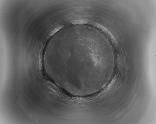 X0000087631217200705101021