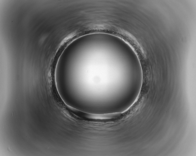 X0000087631218200705101021