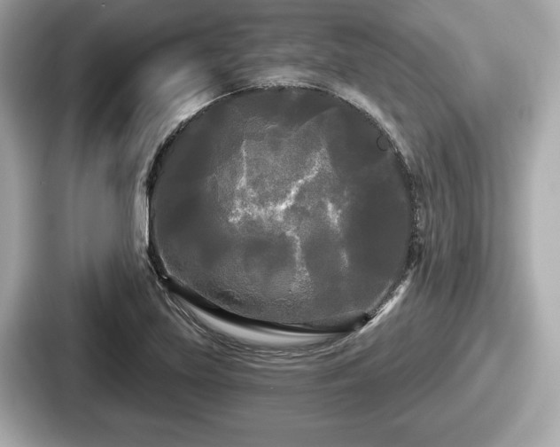 X0000087631219200705101021