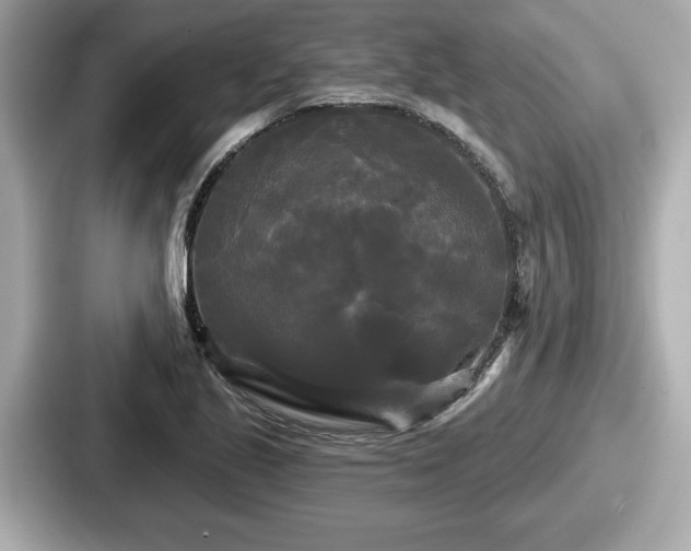 X0000087631221200705101021