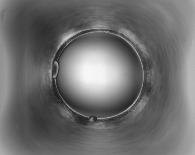 X0000087631222200705101021