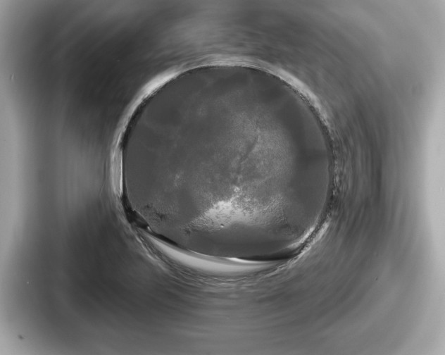 X0000087631223200705101021