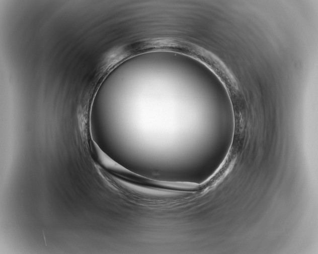 X0000087631225200705101021