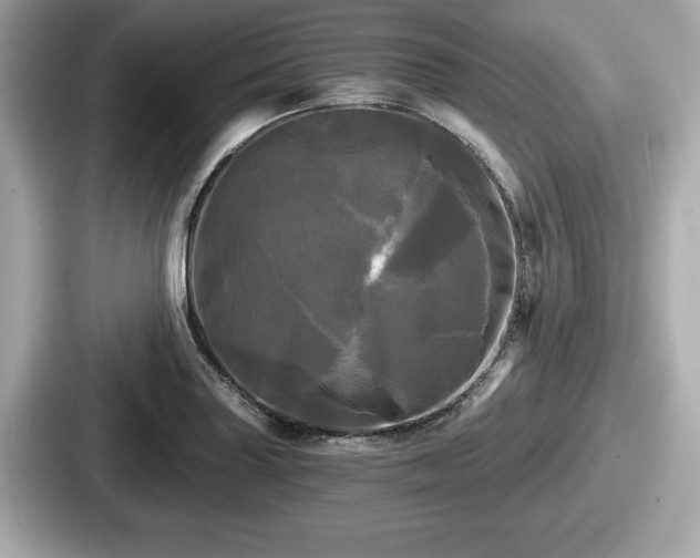 X0000087631227200705101021