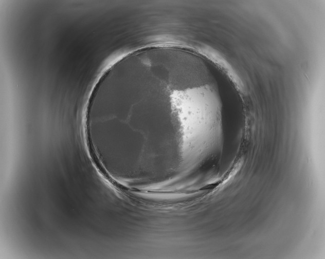 X0000087631231200705101021