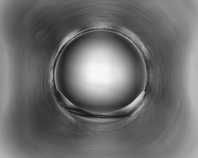 X0000087631234200705101021