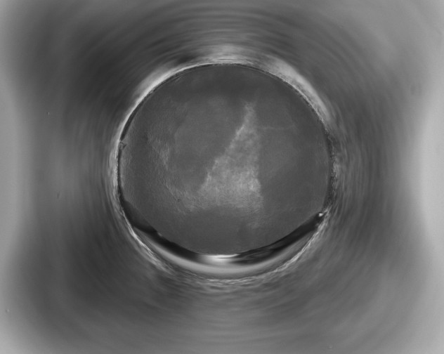 X0000087631236200705101021