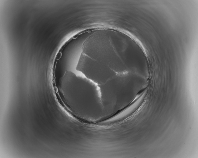 X0000087631239200705101021