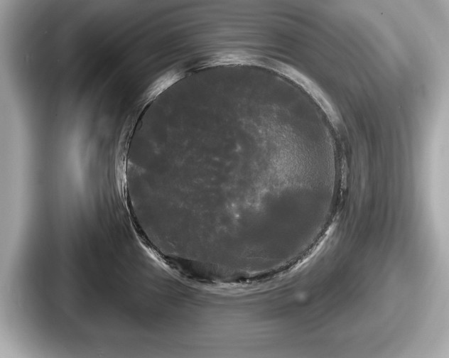 X0000087631241200705101021