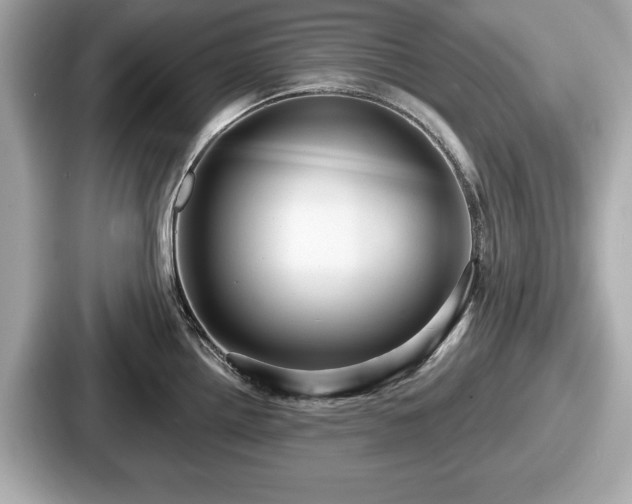 X0000087631242200705101021