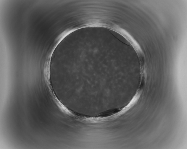 X0000087631244200705101021