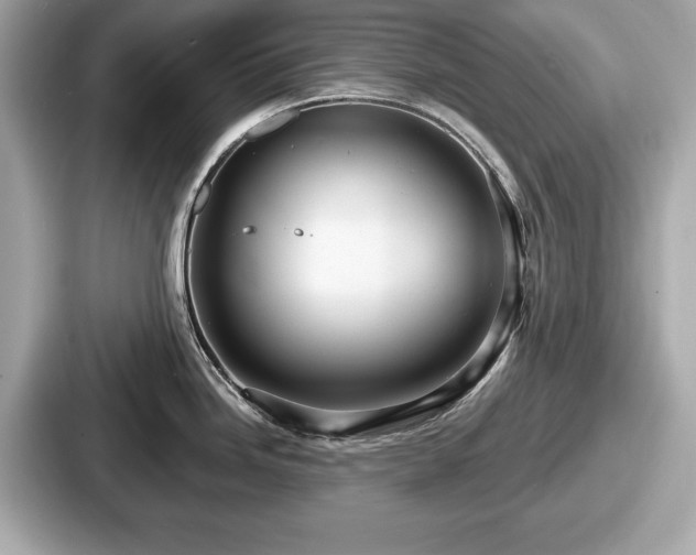 X0000087631246200705101021