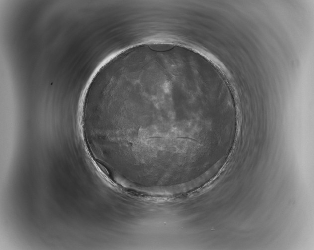 X0000087631248200705101021