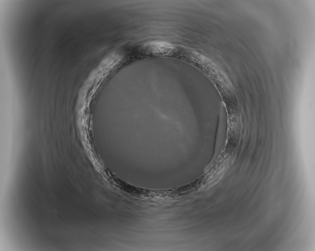 X0000087631249200705101021