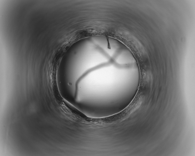 X0000087631250200705101021