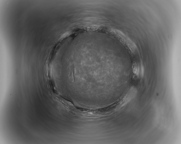 X0000087631252200705101021