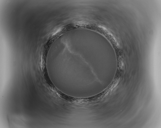 X0000087631253200705101021